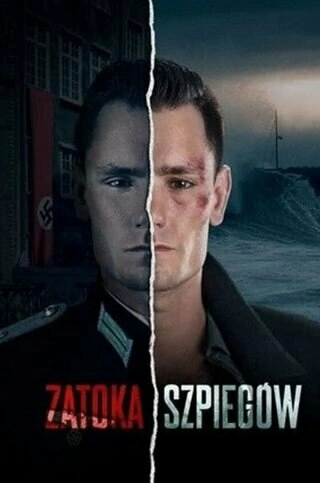 Шпионский залив (2024) смотреть онлайн